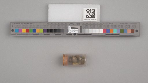 NSF ADBC EPICC TCN