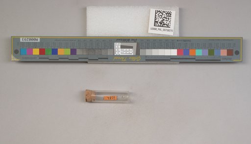NSF ADBC EPICC TCN