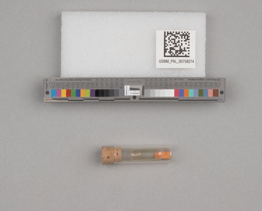NSF ADBC EPICC TCN