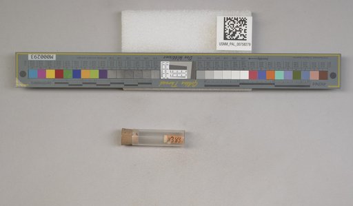 NSF ADBC EPICC TCN