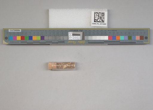 NSF ADBC EPICC TCN