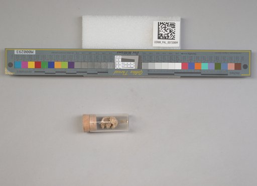 NSF ADBC EPICC TCN