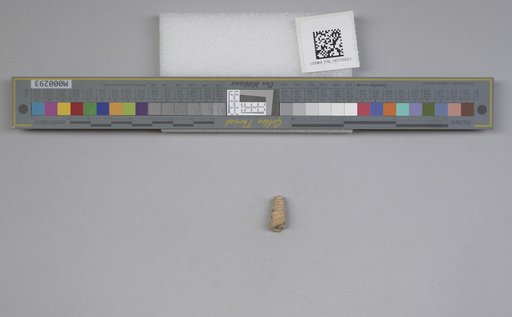 NSF ADBC EPICC TCN