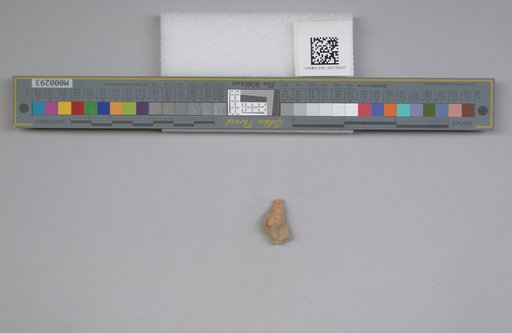 NSF ADBC EPICC TCN