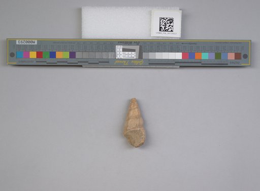 NSF ADBC EPICC TCN