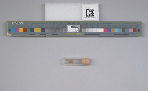 NSF ADBC EPICC TCN