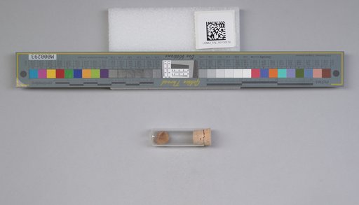 NSF ADBC EPICC TCN