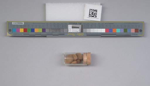 NSF ADBC EPICC TCN