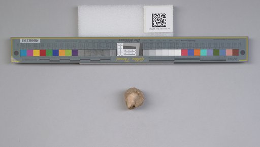 NSF ADBC EPICC TCN