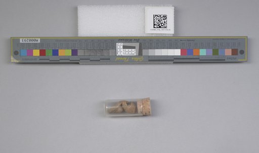 NSF ADBC EPICC TCN