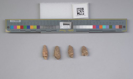 NSF ADBC EPICC TCN