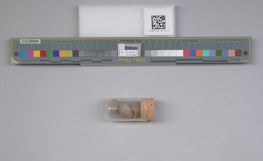 NSF ADBC EPICC TCN
