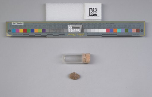 NSF ADBC EPICC TCN
