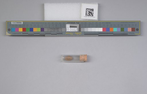 NSF ADBC EPICC TCN