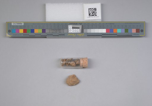 NSF ADBC EPICC TCN