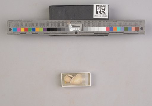 NSF ADBC EPICC TCN