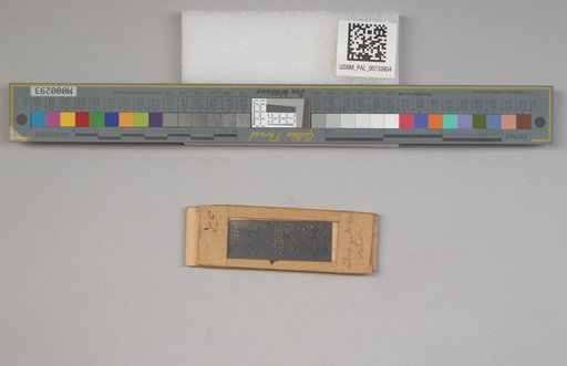 NSF ADBC EPICC TCN