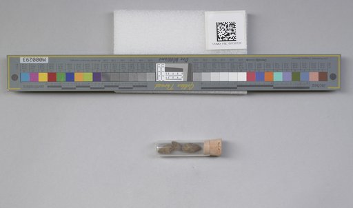 NSF ADBC EPICC TCN