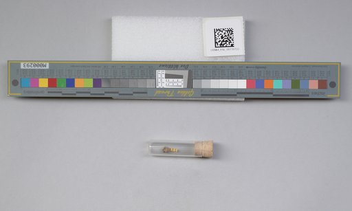 NSF ADBC EPICC TCN