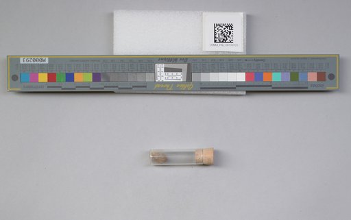 NSF ADBC EPICC TCN