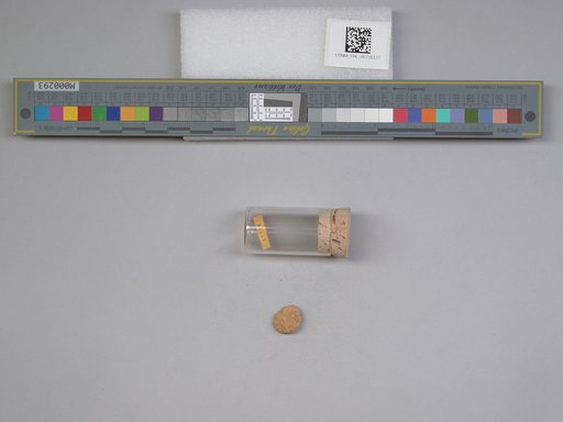 NSF ADBC EPICC TCN