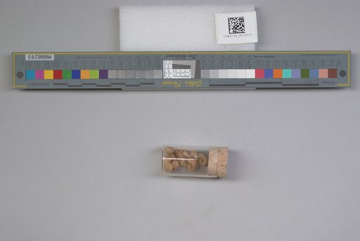 NSF ADBC EPICC TCN