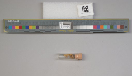 NSF ADBC EPICC TCN