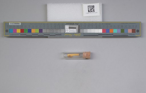 NSF ADBC EPICC TCN