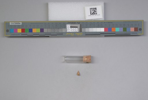 NSF ADBC EPICC TCN