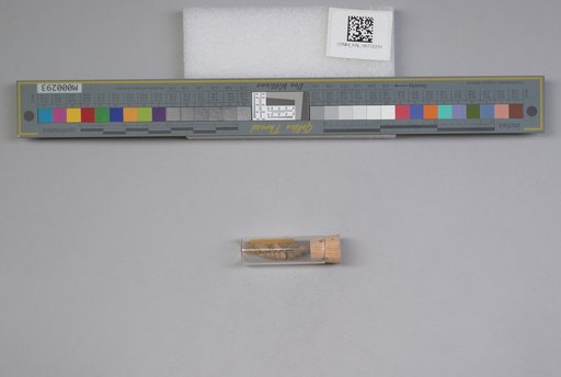 NSF ADBC EPICC TCN