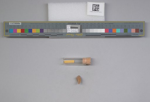 NSF ADBC EPICC TCN