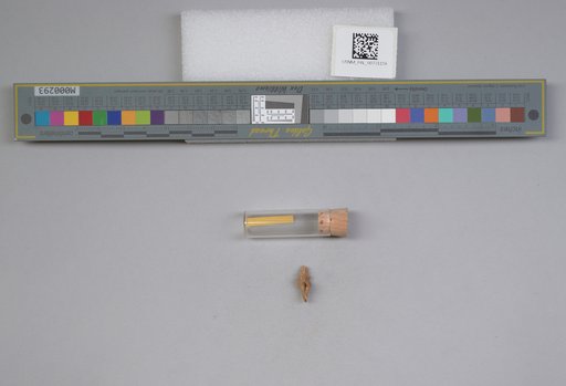 NSF ADBC EPICC TCN
