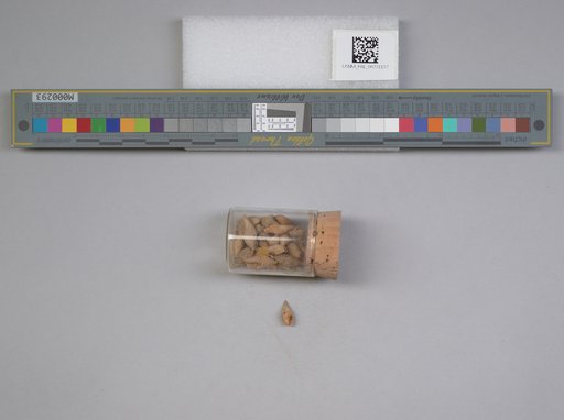 NSF ADBC EPICC TCN