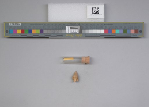 NSF ADBC EPICC TCN