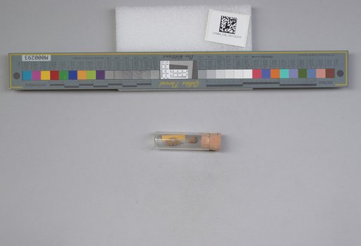 NSF ADBC EPICC TCN