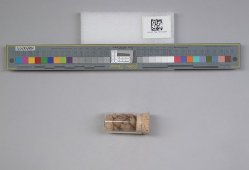 NSF ADBC EPICC TCN