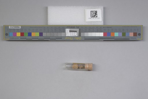 NSF ADBC EPICC TCN