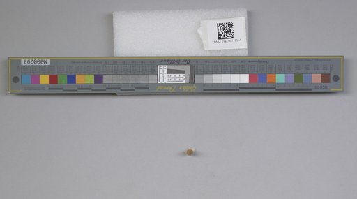 NSF ADBC EPICC TCN