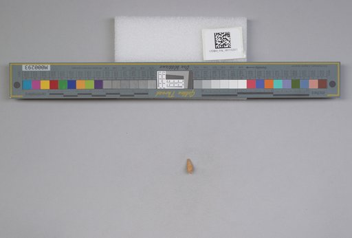 NSF ADBC EPICC TCN