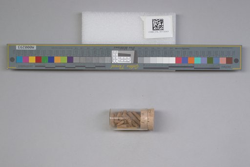 NSF ADBC EPICC TCN