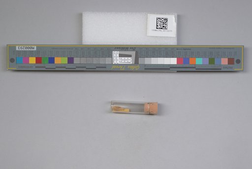 NSF ADBC EPICC TCN
