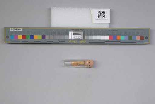 NSF ADBC EPICC TCN