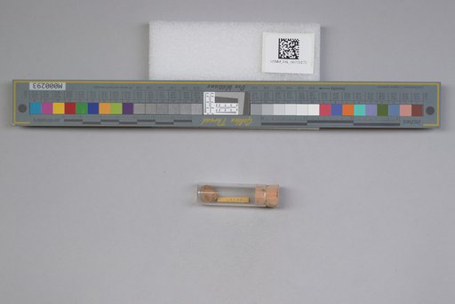NSF ADBC EPICC TCN