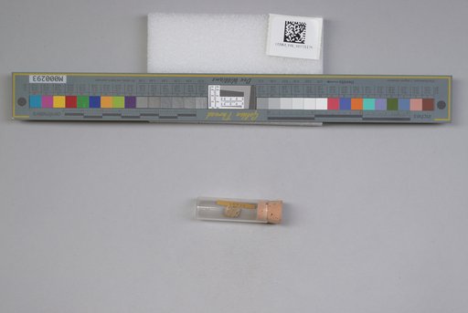 NSF ADBC EPICC TCN