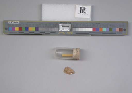 NSF ADBC EPICC TCN