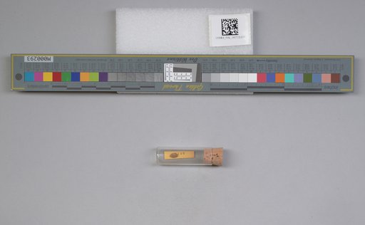NSF ADBC EPICC TCN