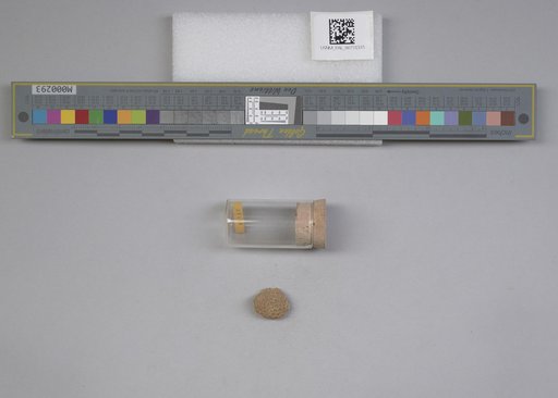 NSF ADBC EPICC TCN