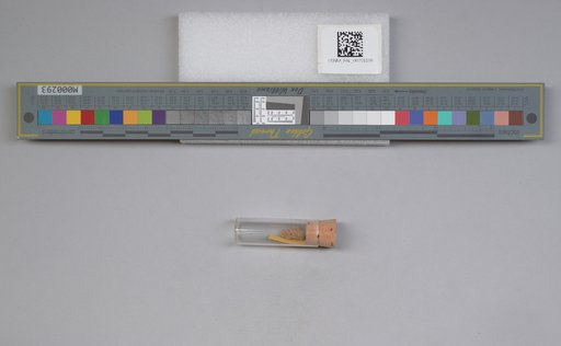 NSF ADBC EPICC TCN