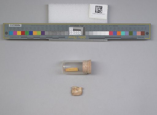 NSF ADBC EPICC TCN