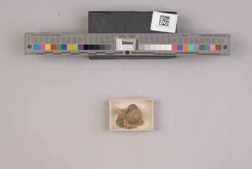 NSF ADBC EPICC TCN